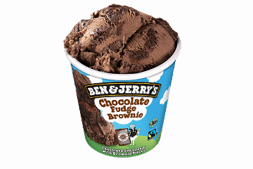 B&J Chocolate Fudge Brownie